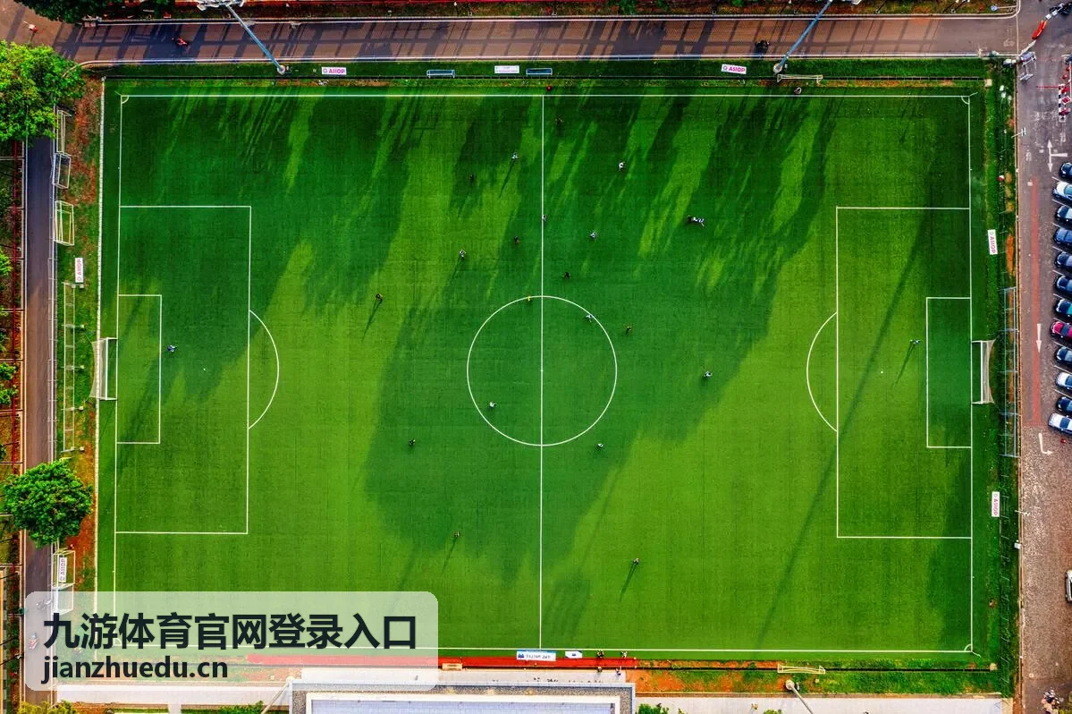 九游体育官网登录入口登录流程示意画面